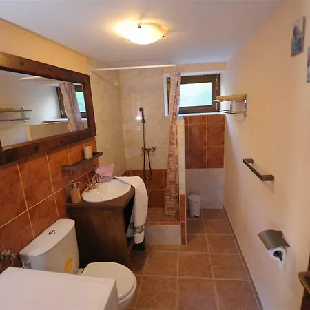 Villa Saint Vid