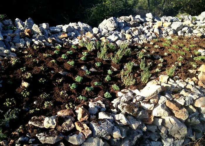 فيلة Saint Vid مالينسكا